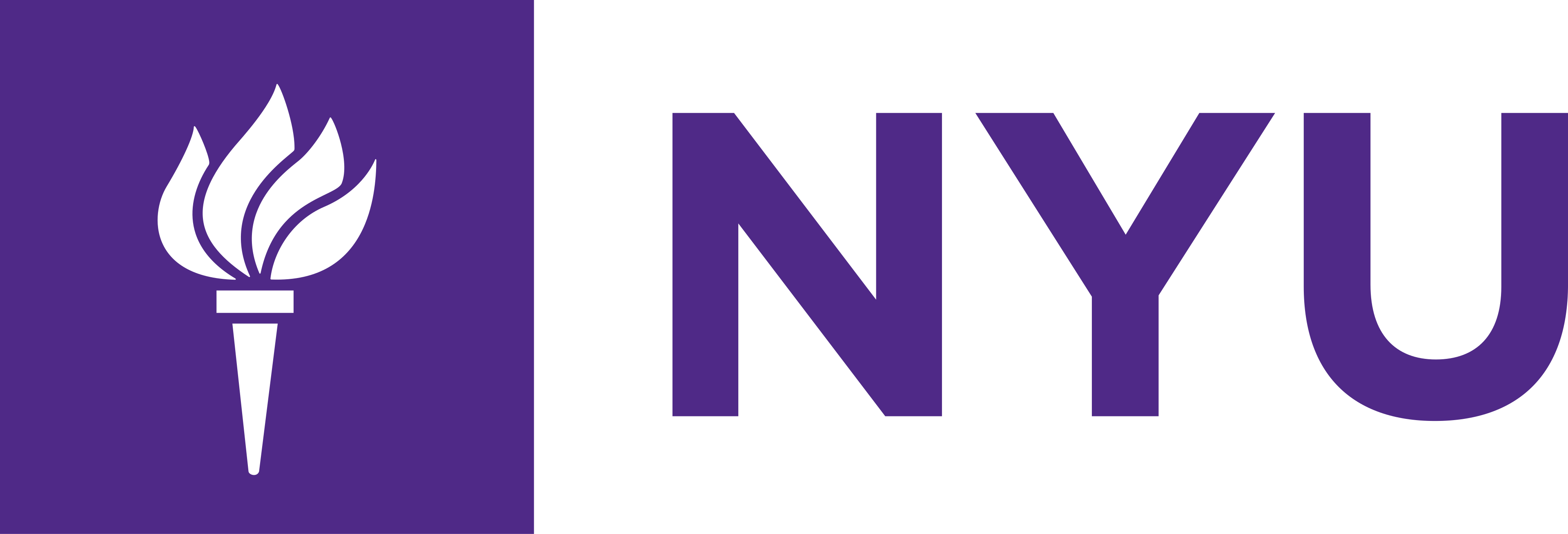 New York University (NYU)